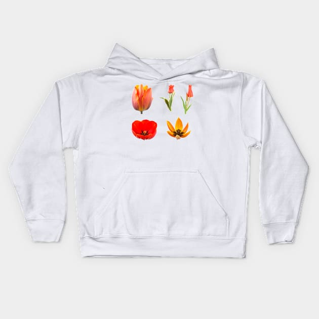 Tulips Kids Hoodie by chrisburrows